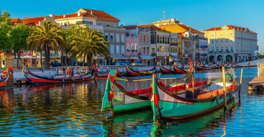 From Porto: Aveiro Private Guided Day Trip - The private ride from Porto