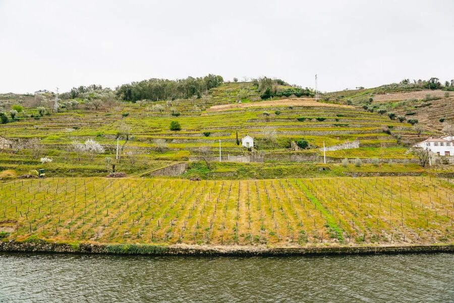 From Porto: Douro River Cruise to Régua with Lunch - Lunch with Douro views