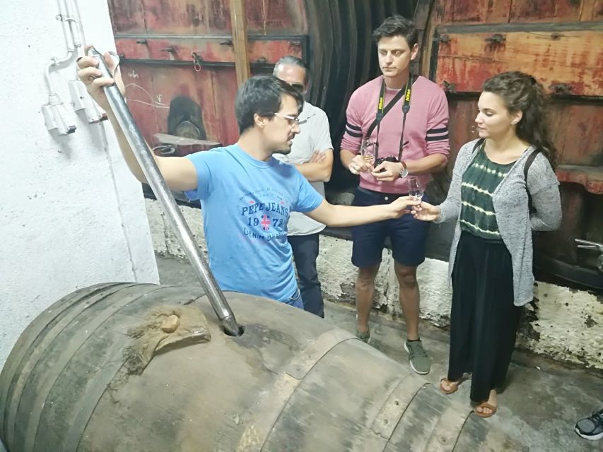 From Porto: Douro Valley 3 Vineyards Tour with Lunch - Practical tips for a smoother day