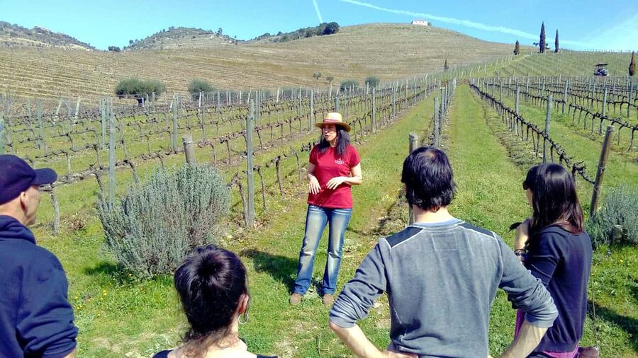From Porto: Douro Valley 3 Vineyards Tour with Lunch - Why the Douro Valley is worth a full day from Porto