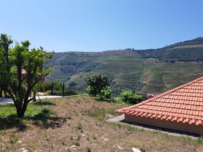 From Porto: Douro Valley 3 Vineyards Tour with Lunch - The third estate and the Port focus
