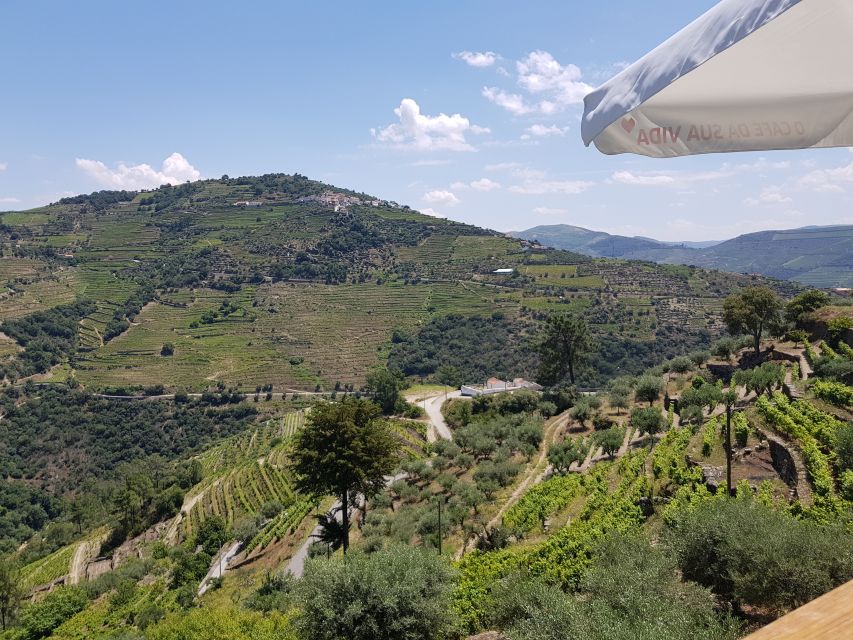 From Porto: Douro Valley 3 Vineyards Tour with Lunch - Who should book this Douro Valley tour?