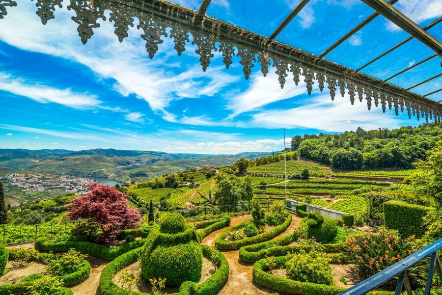From Porto: Douro Valley w/ Boat Tour, Wine Tasting & Lunch - A seated Douro lunch with wine pairing