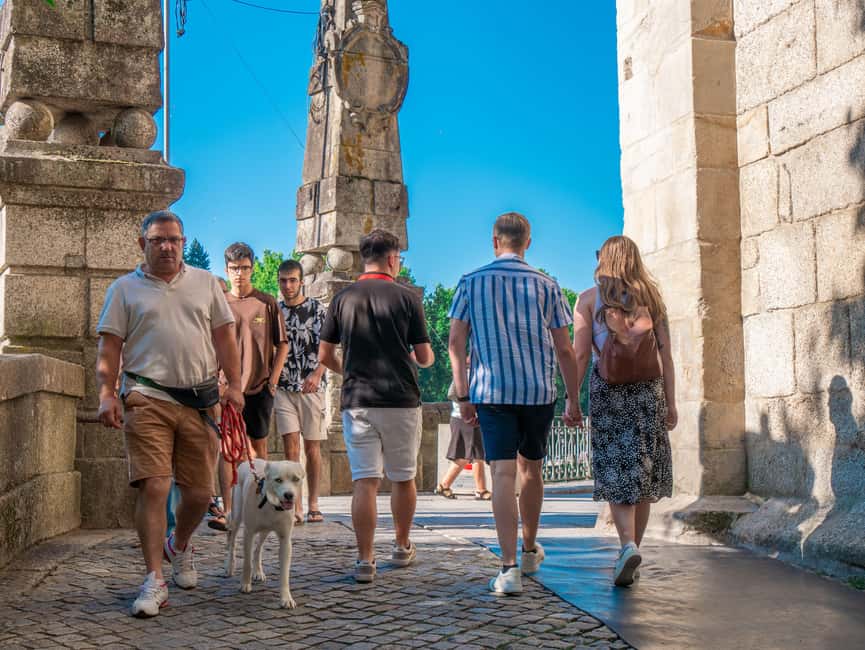 From Porto: Douro Valley Wine Tour with Lunch and Cruise - Is $142 good value?