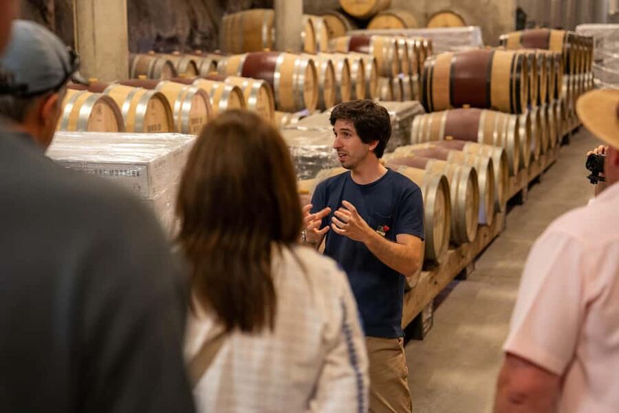 From Porto: Douro Valley Wine Tour with Lunch and Cruise - Pinhão and a quiet 45-minute river cruise
