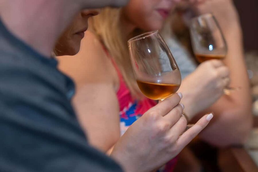 From Porto: Douro Valley Wine Tour with Lunch and Cruise - Comfort, group size, and practical limits