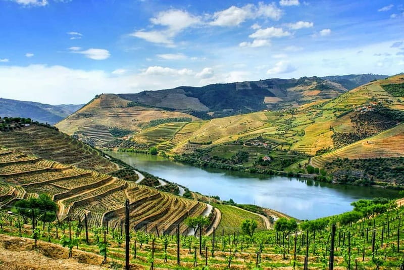From Porto: Douro Valley with Wineries, Lunch and Boat Trip - From Porto to the Douro Valley by small van