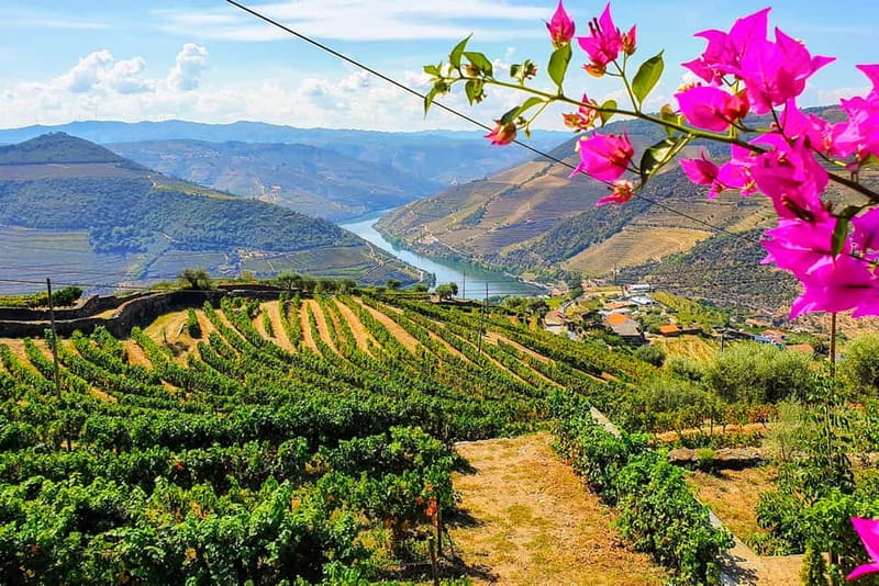 From Porto: Douro Valley with Wineries, Lunch and Boat Trip - Quinta do Seixo and the Port wine lesson
