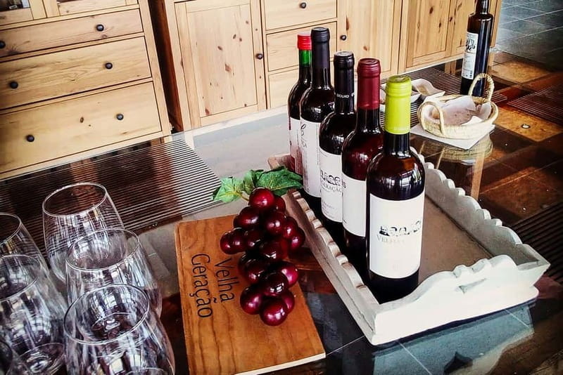 From Porto: Douro Valley with Wineries, Lunch and Boat Trip - A short pause in Amarante and Peso da Régua