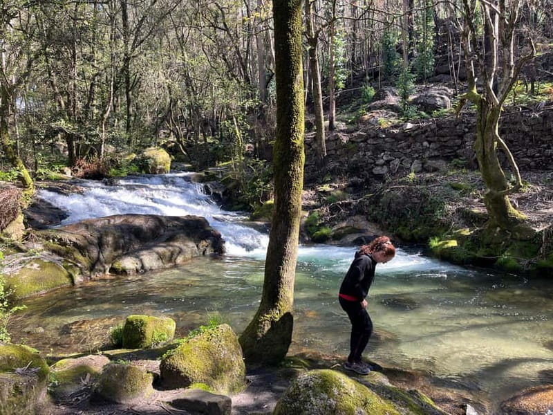From Porto: Forest Waterfalls & Roman Ruins Trail Tour - Why this countryside walk is different from a Porto city tour
