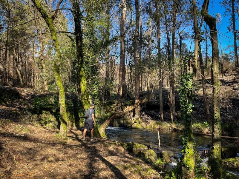 From Porto: Forest Waterfalls & Roman Ruins Trail Tour - From forest quiet to Castro Monte Padrão