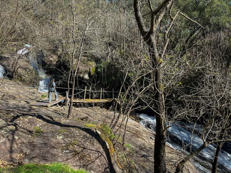 From Porto: Forest Waterfalls & Roman Ruins Trail Tour - What João adds to the experience