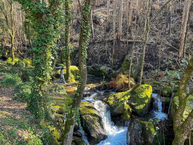 From Porto: Forest Waterfalls & Roman Ruins Trail Tour - How much time and effort should you allow?