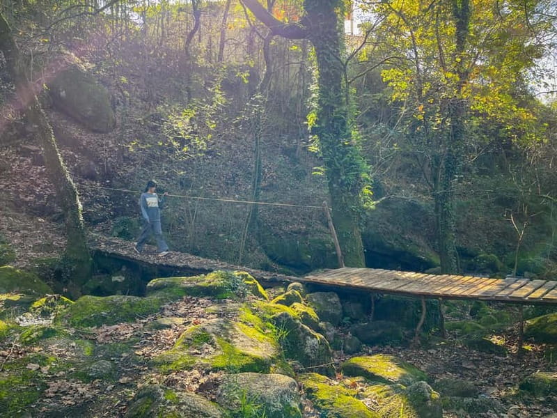 From Porto: Forest Waterfalls & Roman Ruins Trail Tour - Who will enjoy this walk most?