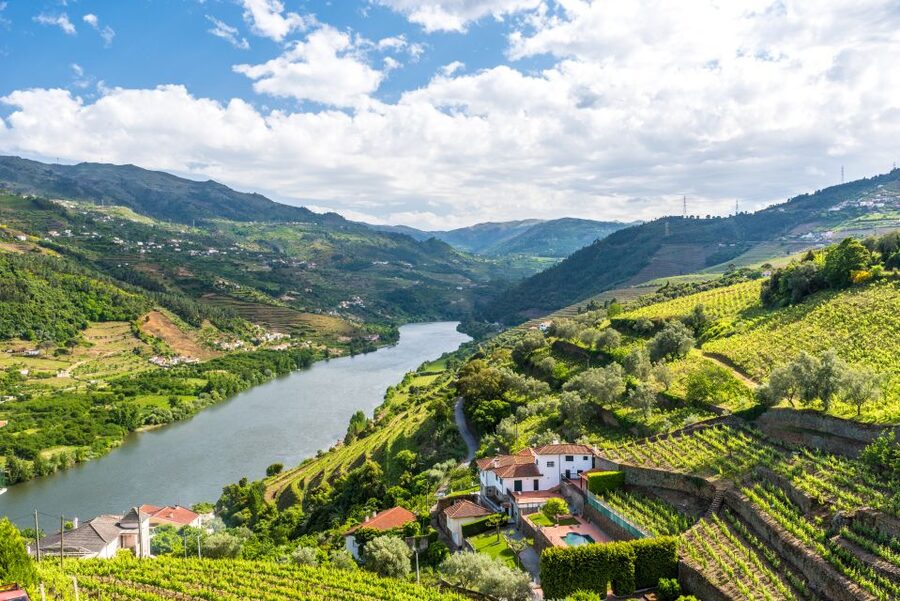 From Porto: Full-Day Douro Historical Tour - The road into the Douro Valley