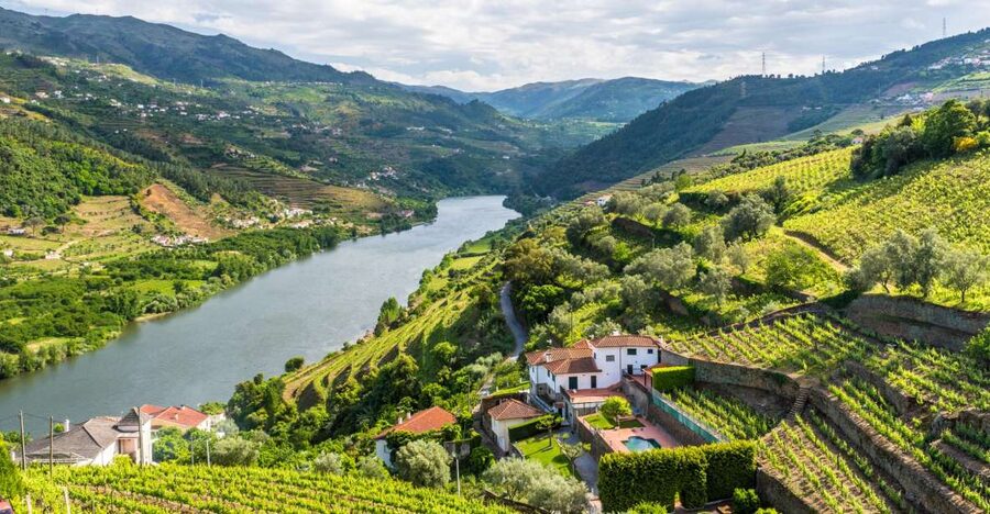 From Porto: Full-Day Douro Historical Tour - Port wine in the Douro Valley