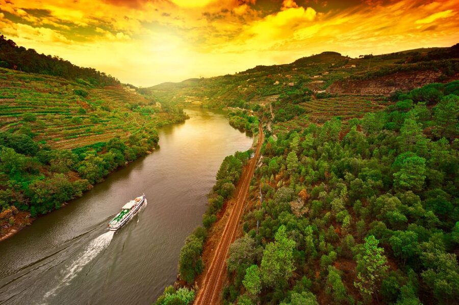 From Porto: Full-Day Douro Historical Tour - Who should take this tour?