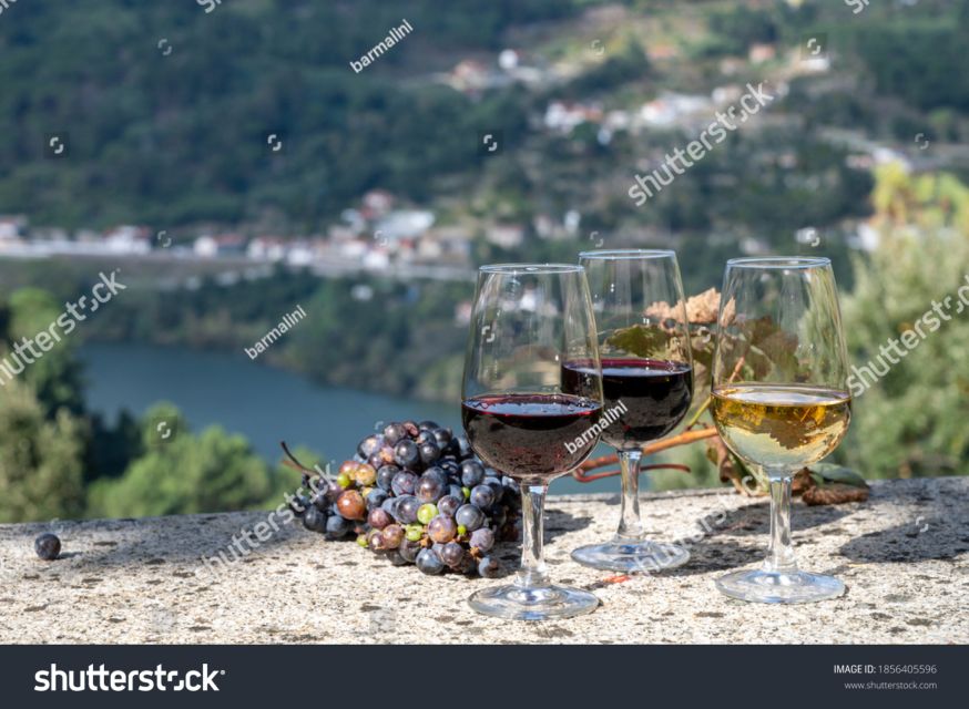 From Porto: Full-Day Douro Historical Tour - Lunch at a local restaurant