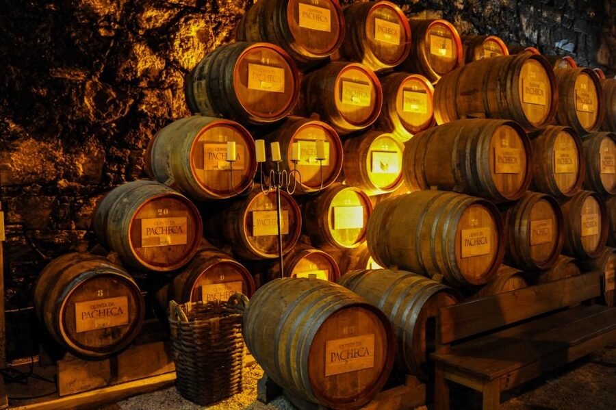 From Porto: Full-Day Douro Valley Trip - Pinhão viewpoints and the ride home