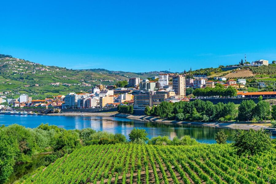 From Porto: Full-Day Douro Valley Trip - Guides who shape the day