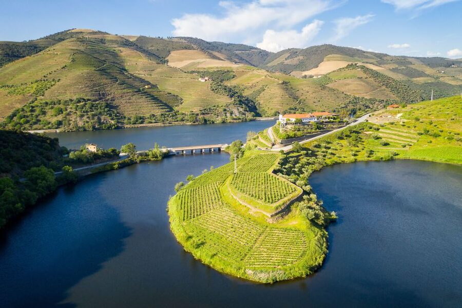 From Porto: Full-Day Douro Valley Trip - Régua and the first views of the valley