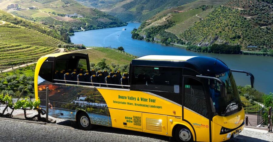 From Porto: Full-Day Douro Valley & Wine Tour with Lunch - Five things worth knowing before you go