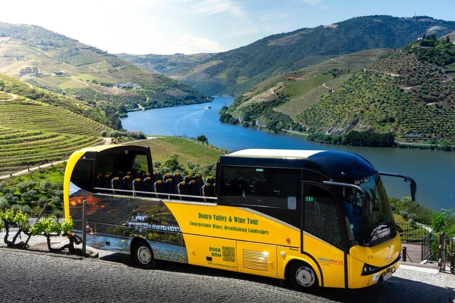 From Porto: Full-Day Douro Valley & Wine Tour with Lunch - Lunch among Douro terraces