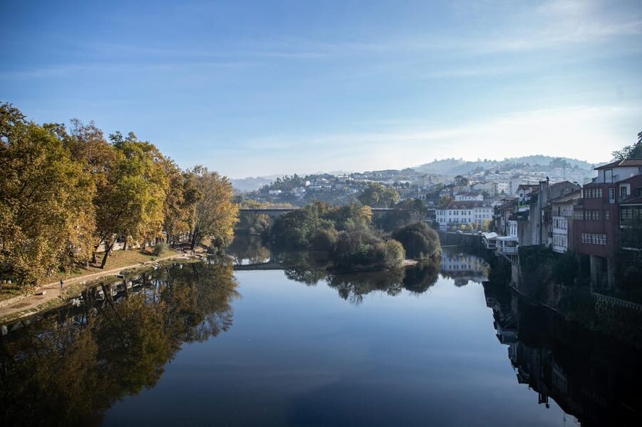 From Porto: Full-Day Douro Valley & Wine Tour with Lunch - The second winery visit adds variety