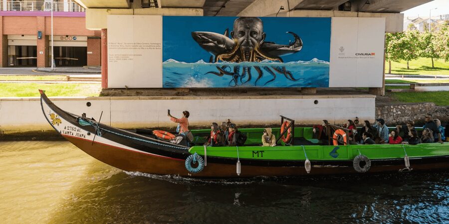 From Porto: Full-Day Trip to Coimbra & Aveiro with Boat Ride - Why the small vehicle matters