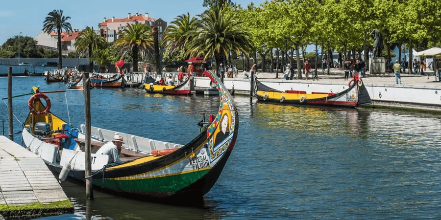 From Porto: Full-Day Trip to Coimbra & Aveiro with Boat Ride - A local pastry and a practical lunch break