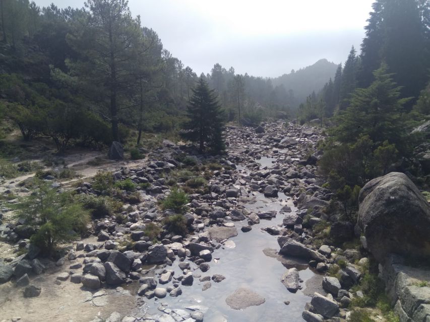 From Porto: Guided tour to Gerês Park - Short walks to waterfalls and natural pools