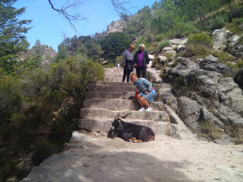 From Porto: Guided tour to Gerês Park - Starting from Porto or Braga