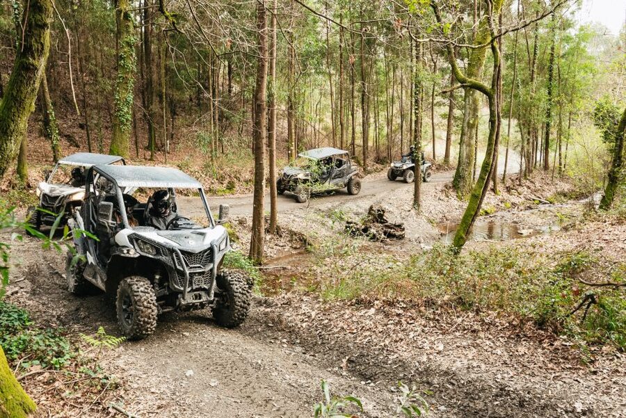 From Porto: Off-Road Buggy Adventure - Who should book, and who should skip it?