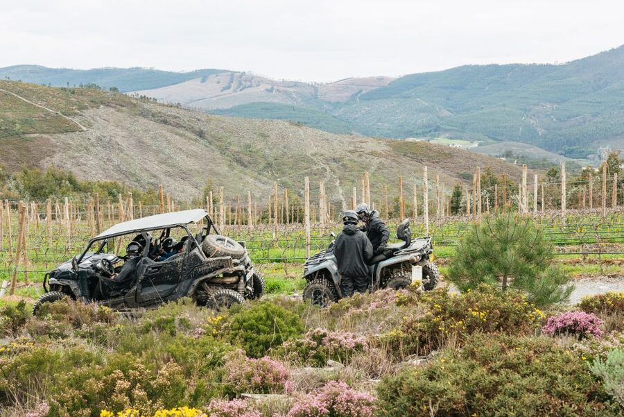 From Porto: Off-Road Buggy Adventure - Why this buggy tour gets beyond Porto’s center
