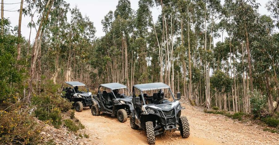 From Porto: Off-Road Buggy Adventure - The first viewpoint and the changing countryside