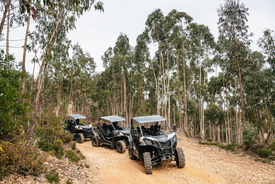 From Porto: Off-Road Buggy Adventure - Is $200 good value for two people?