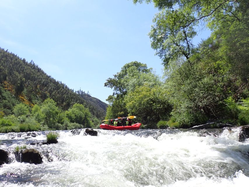 From Porto: Paiva River Canoe Rafting Adventure Tour - Who will enjoy this day most