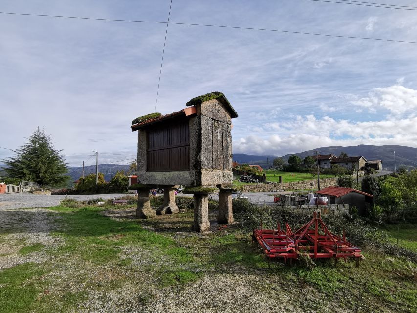 From Porto: Peneda-Gerês National Park Tour with Lunch - Lunch in the park, with local food and wine