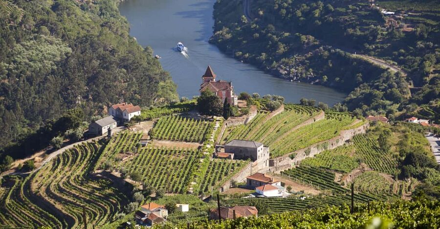 From Porto: Premium Douro Valley Small-Group Wine Tour - The First Winery and the Story Behind Douro Wine