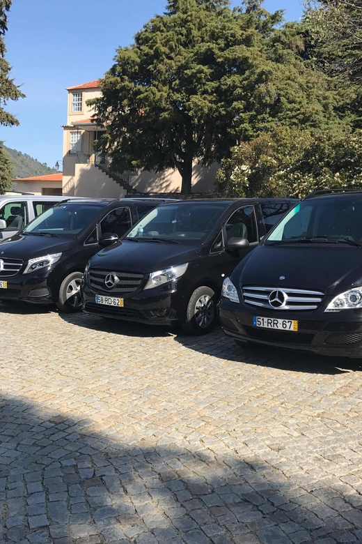 From Porto: Premium Douro Valley Small-Group Wine Tour - Seeing the Valley from the Douro River