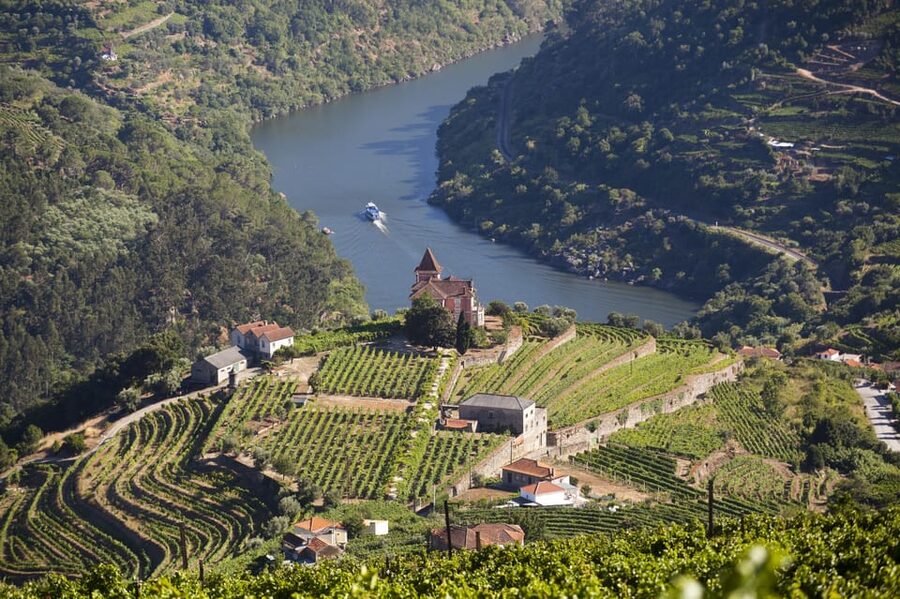 From Porto: Premium Douro Valley Small-Group Wine Tour - Is $123 a Good Price?