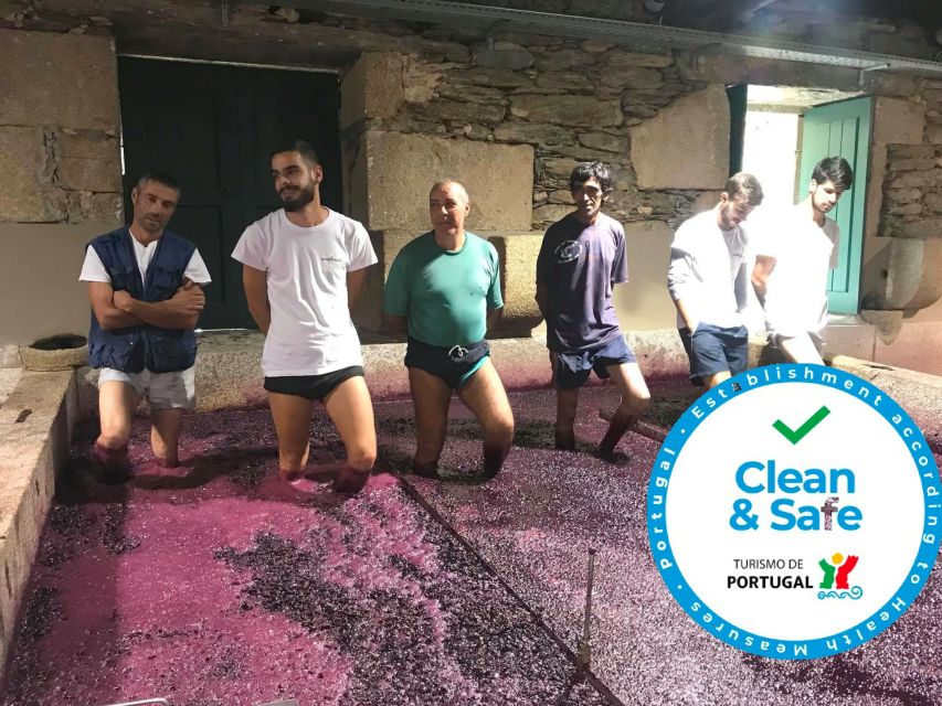 From Porto: Private Douro Valley Tour with Cruise and Wine - Price, group size, and what you actually receive