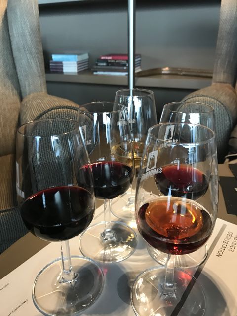From Porto: Private Douro Valley Tour with Cruise and Wine - A one-hour cruise on the Douro River