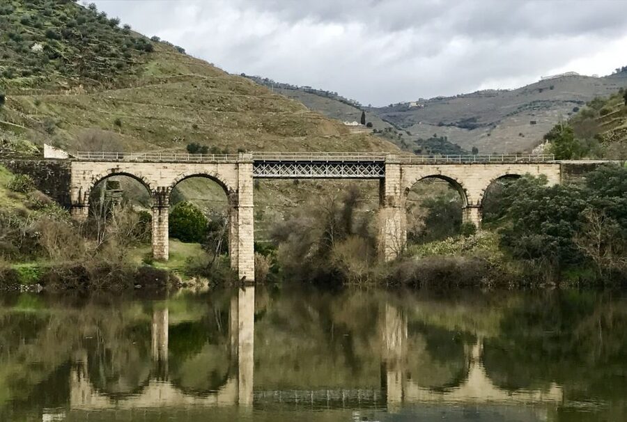 From Porto: Private Douro Valley Tour with Cruise and Wine - What makes Delfim such an important part of the day