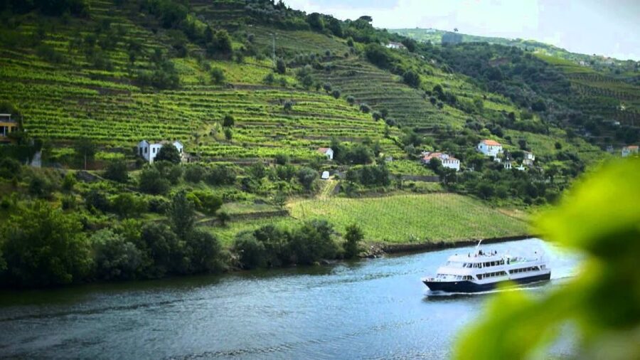 From Porto: Régua to Porto River Cruise with Lunch on Board - Lunch, wine, and the practical value of the fare