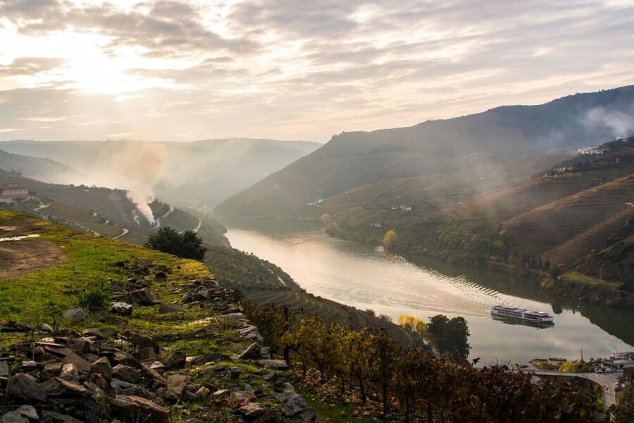 From Porto: Régua to Porto River Cruise with Lunch on Board - What the guide adds, and where the tour can improve