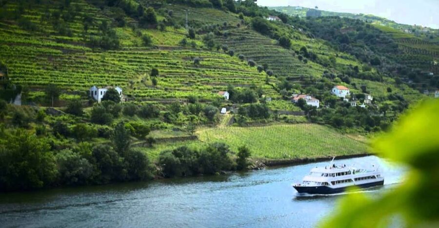 From Porto: Régua to Porto River Cruise with Lunch on Board - Heat, shade, and the length of the day