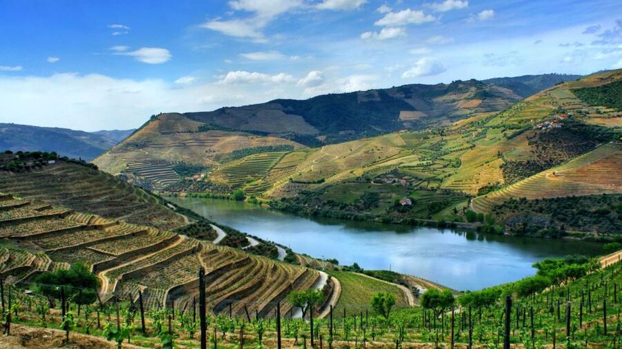 From Porto: Régua to Porto River Cruise with Lunch on Board - Starting the day in Porto