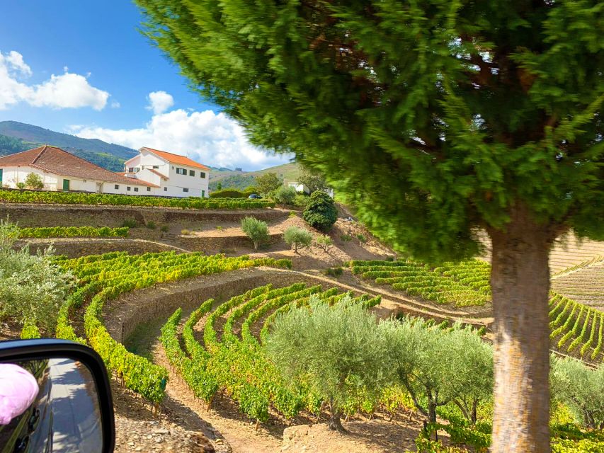 From Porto: Small-Group Douro Valley Wine Tour Lunch & Boat - Practical details that matter