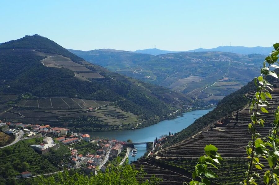 From Porto: Small-Group Douro Valley Wine Tour Lunch & Boat - What the $91 price really covers
